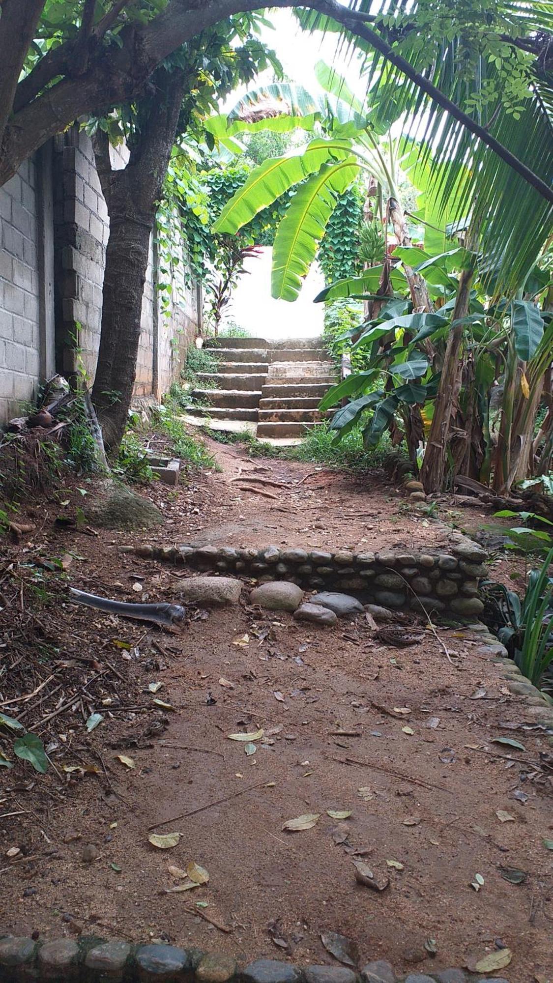 Sierra Tayrona Hostel El Zaino Esterno foto